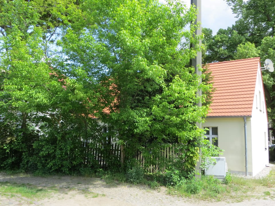 a green wall keeps your privacy while sitting in the front garden