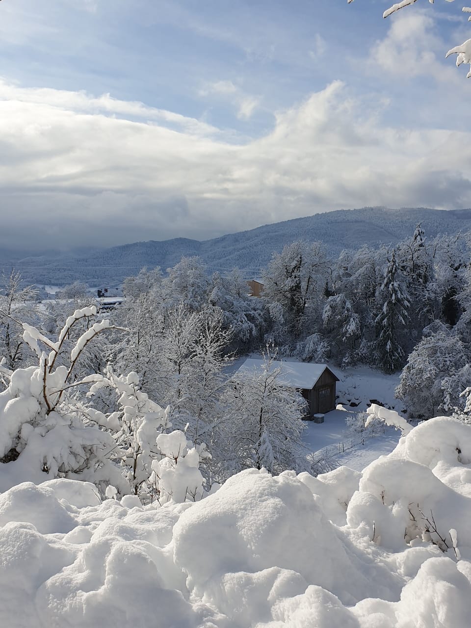 Snow and ski sports