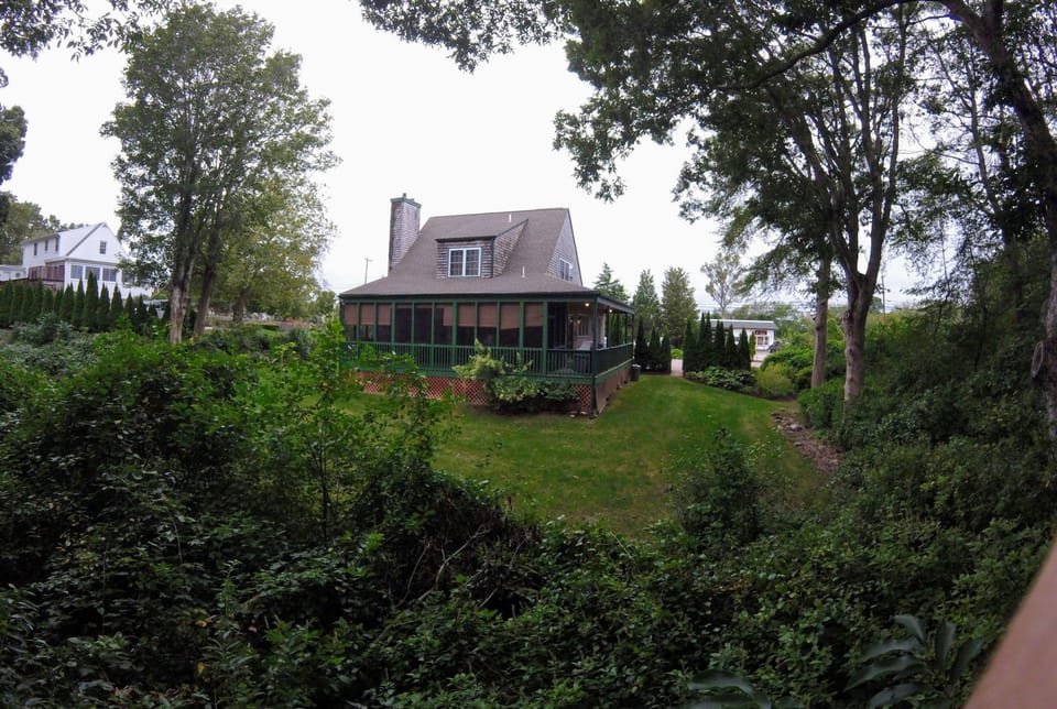 View from backyard