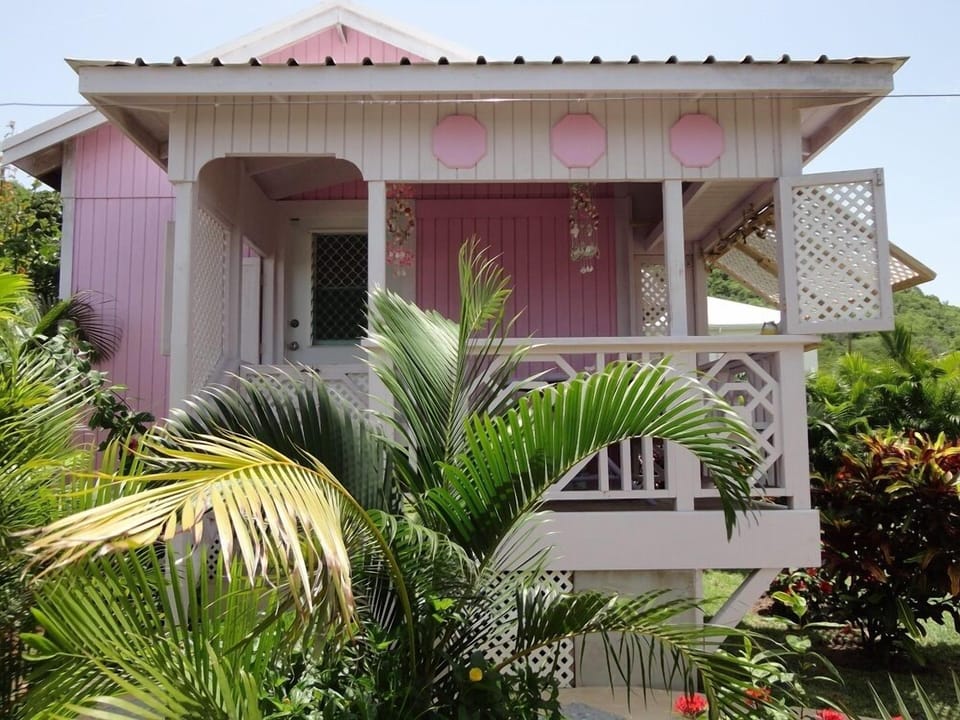 Pinkshack Gallery 