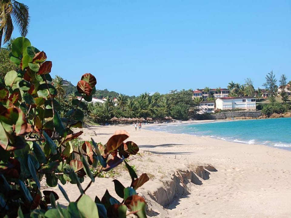 Beautiful Coconut beach also very close to Pinkshack