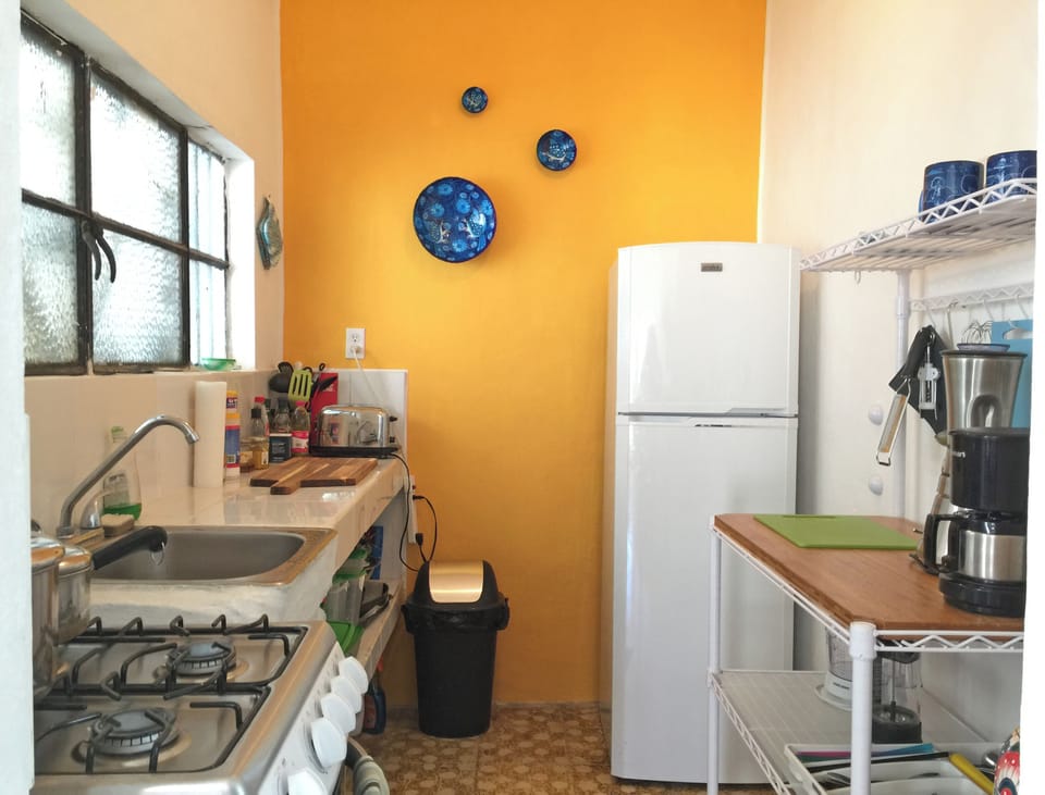 Gas stove/ oven. Fridge/ freezer. 
Blender, citrus juicer, coffee maker, toaster