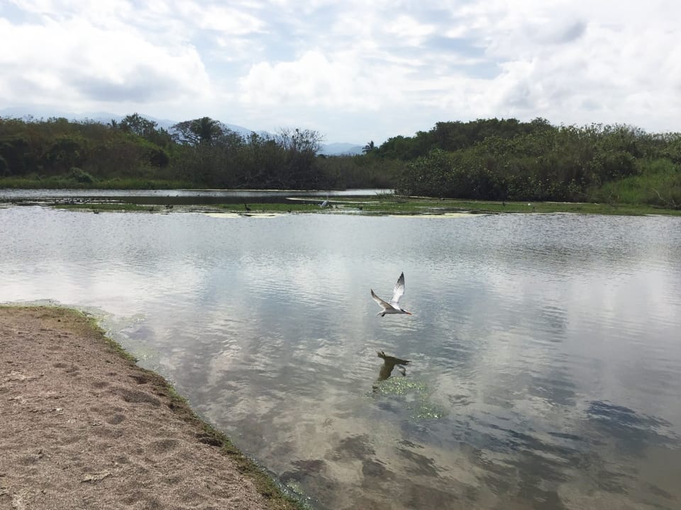 Lagoon North of Casita - lots of birdwatching!