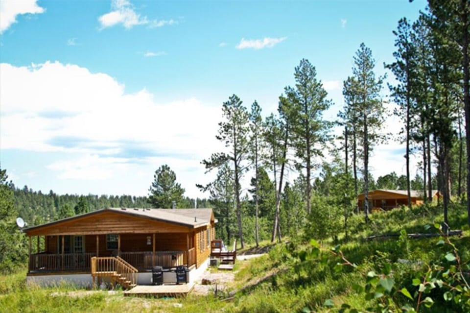 The Aspen with the Ponderosa in the background