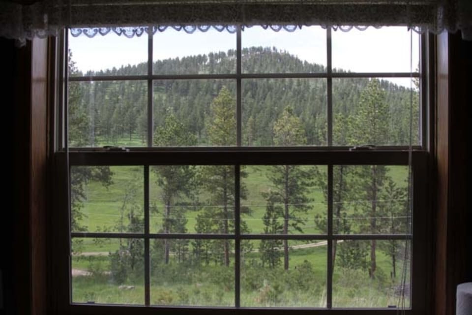 View from the Dining Room window
