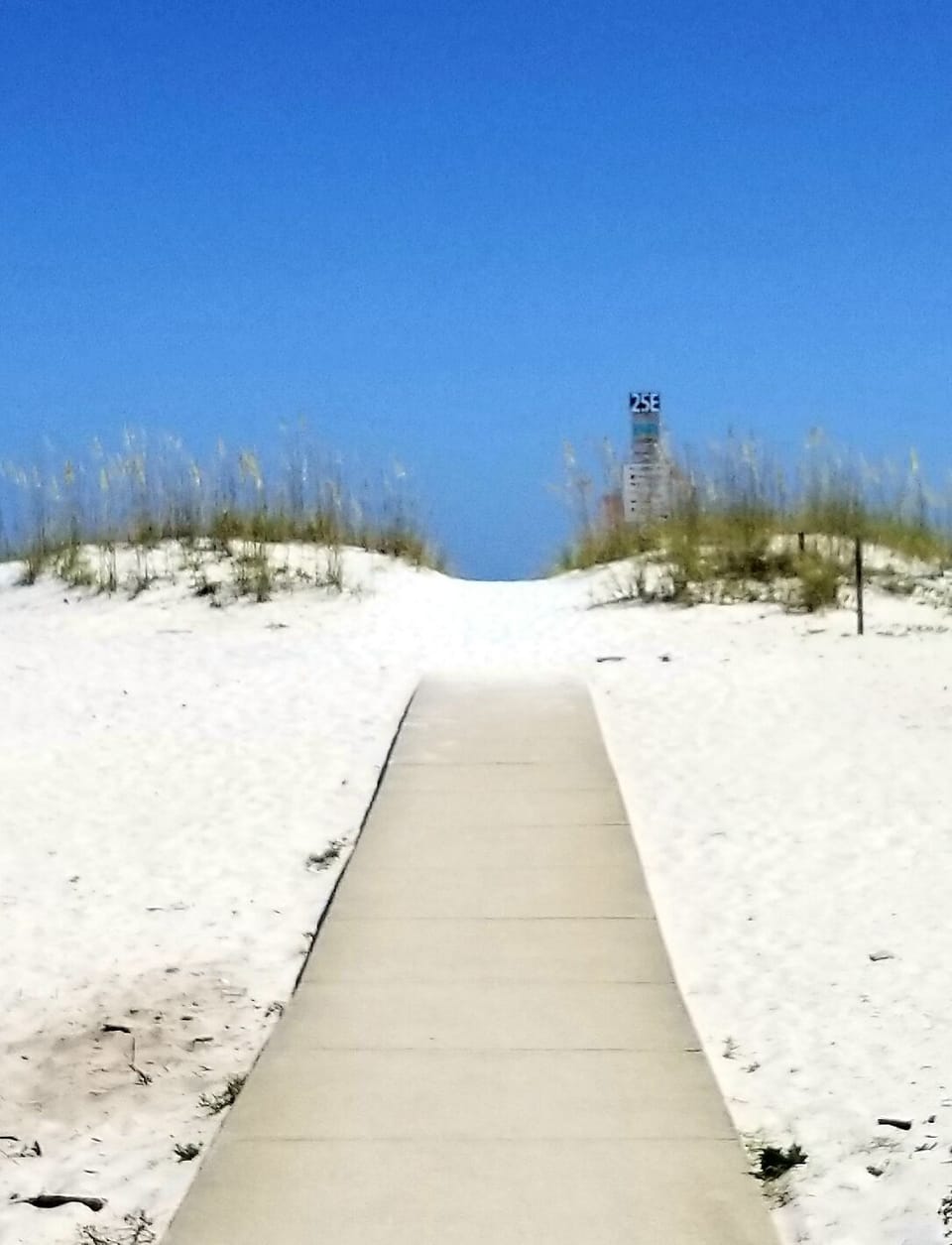 Path to the beach