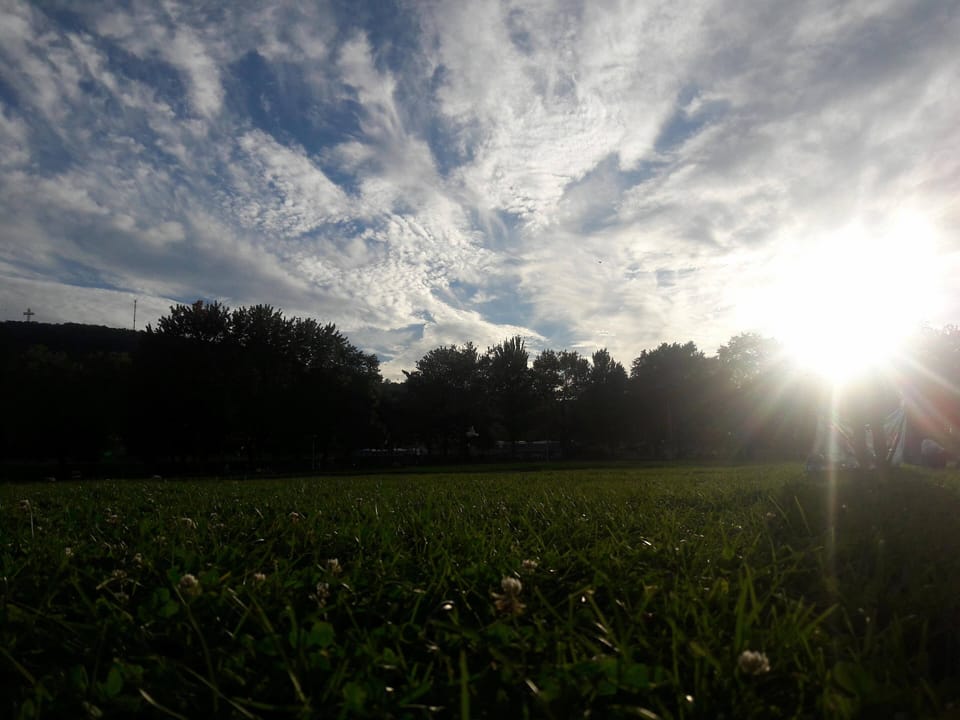 Within walking distance: Jeanne Mance Park (5 mins)