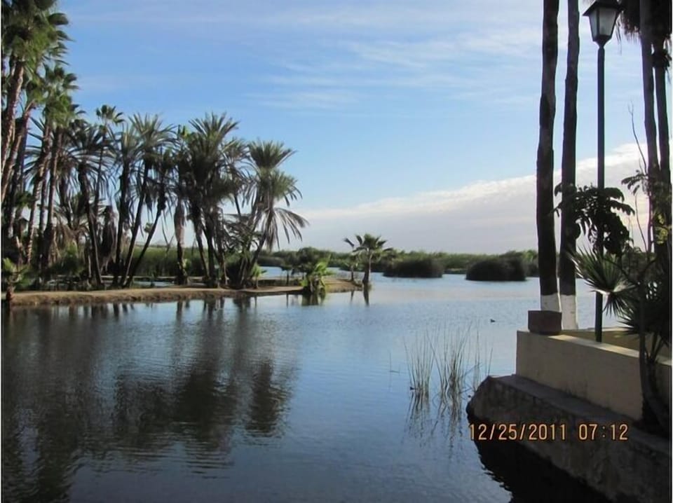 The nearby Estuary is a great spot for kayaking, walking, & bird watching 
