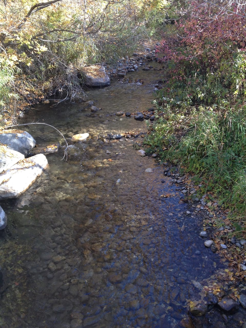 Gentle mountain stream to play in or just listen to it burble over the rocks.