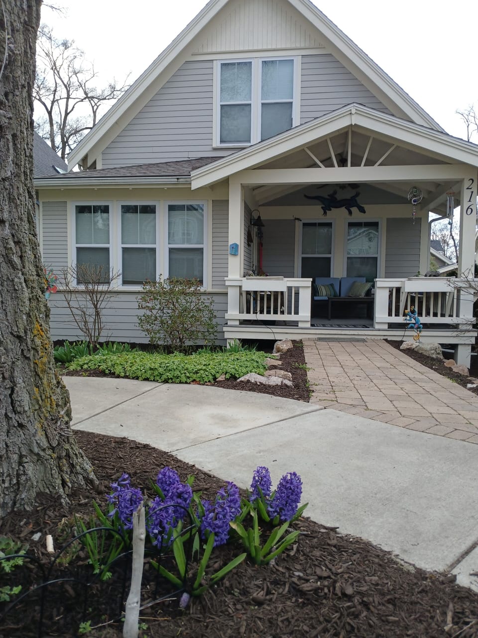 Kick Back at the Gecko Cottage