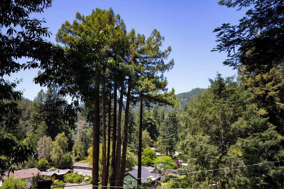 View from the deck.