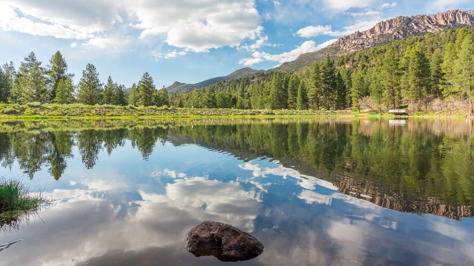 Pine Valley Reservoir Has Great Trout Fishing - A 30 Minute Drive