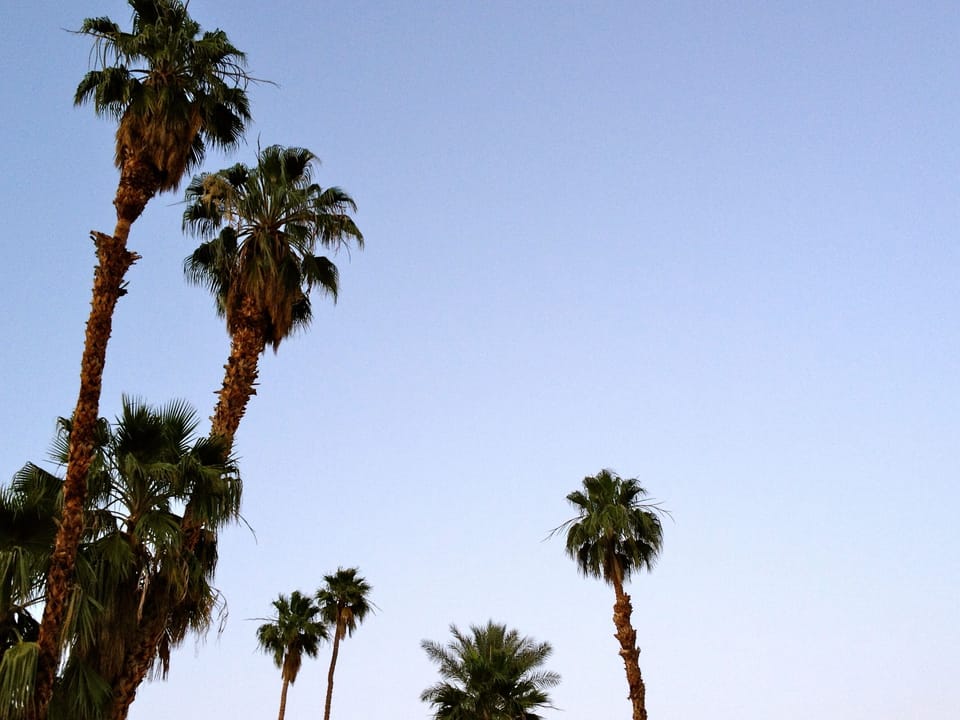 An Oasis in Rancho Mirage!