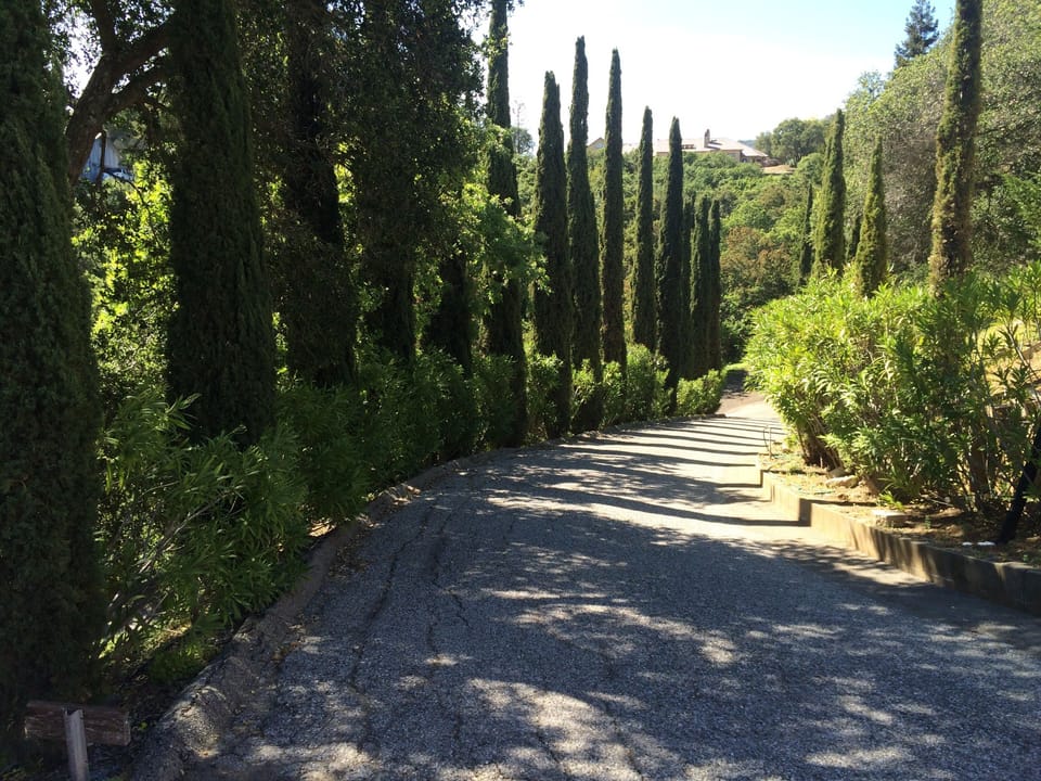 Private driveway leading up to the guesthouse 