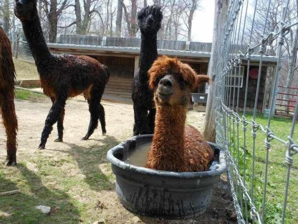 The Apple Hill Farm is just a few minutes away.