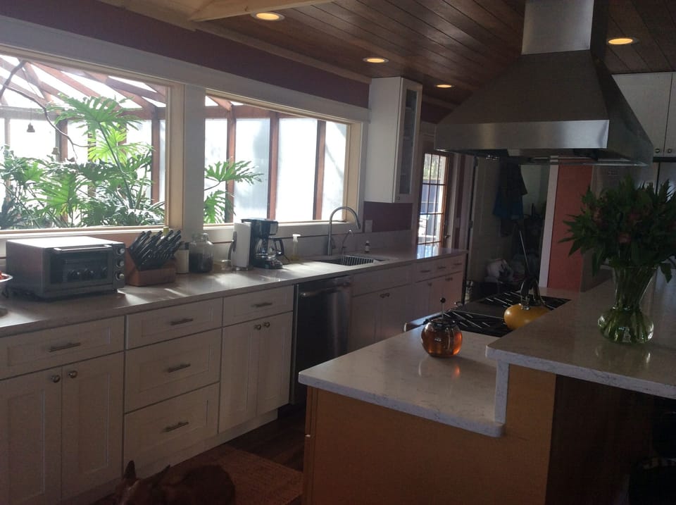 kitchen looking out on the aviary/greenhouse
