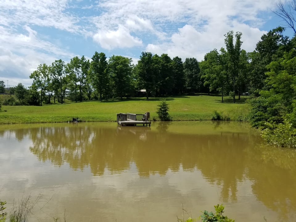 Three ponds  full of koi, catfish and blue gill.  Fish food is on the porch.