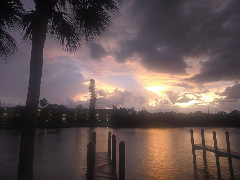 View from back yard.