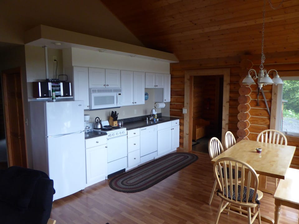 Kitchenette with stove, microwave, dishwasher, and refrigerator