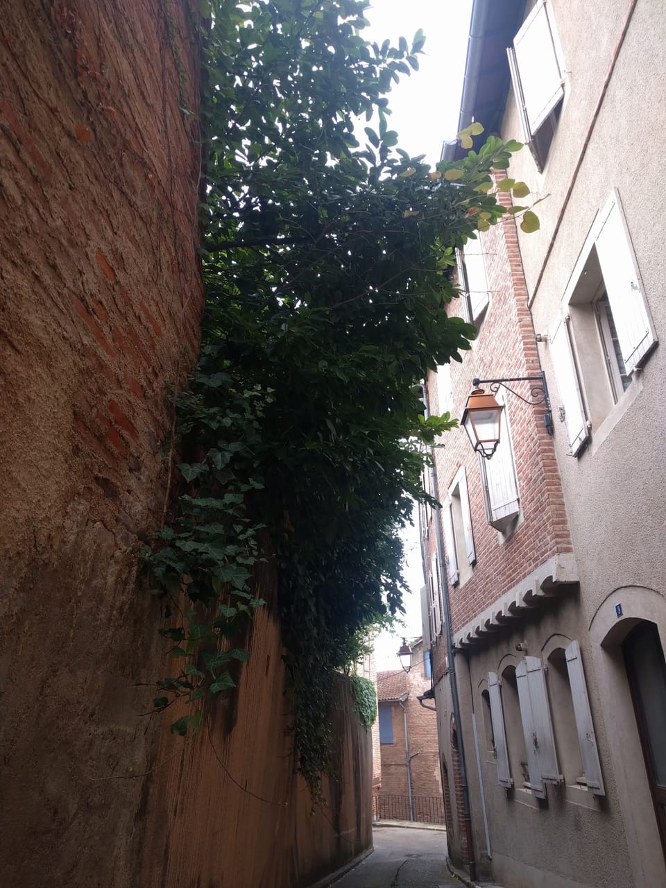 Our street is narrow, yet many car can go through