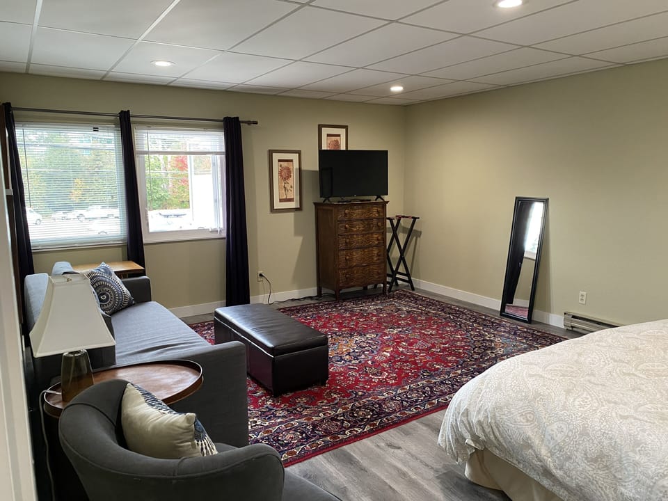 Bedroom 2 has two large windows and a sofa that pulls out to a queen sized bed. 
