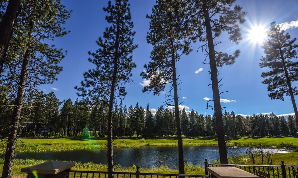 Gorgeous Views of Golf Course and Pond from Deck