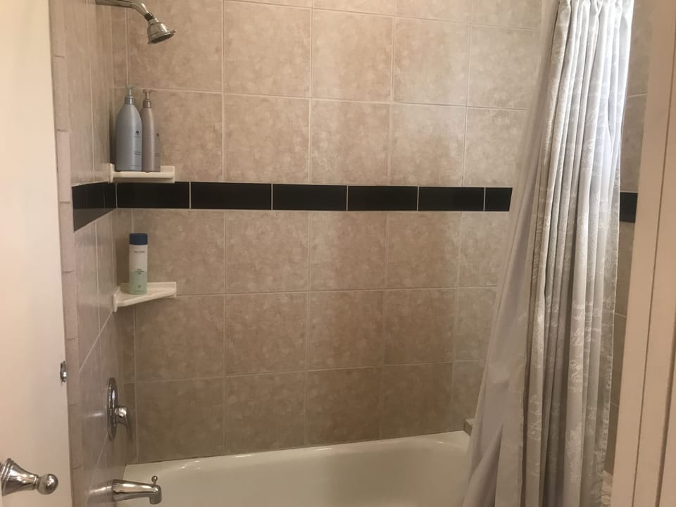 Tub and shower combo 