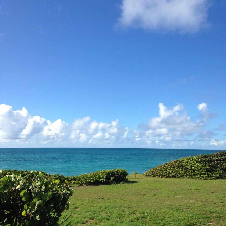 BEYOND BEAUTIFUL, THE VIEWS FROM THIS PROPERTY,  JUST MESMERIZING!