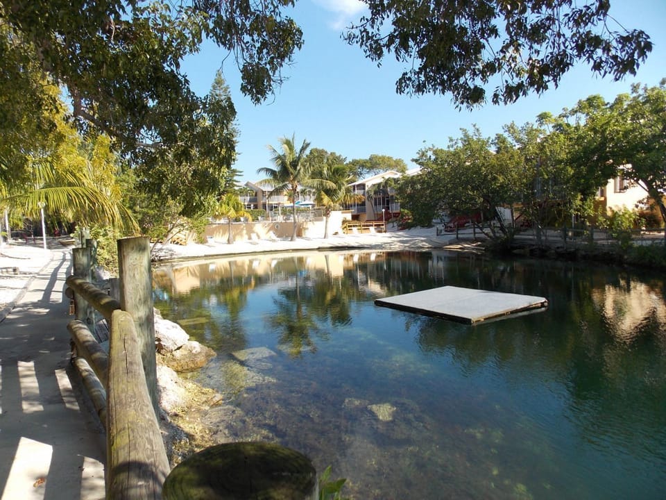 The lagoon has three rafts & a walking path all around it.