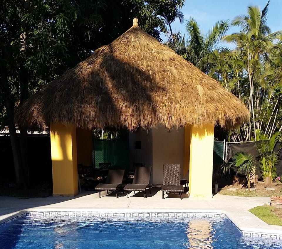 Pool and Palapa