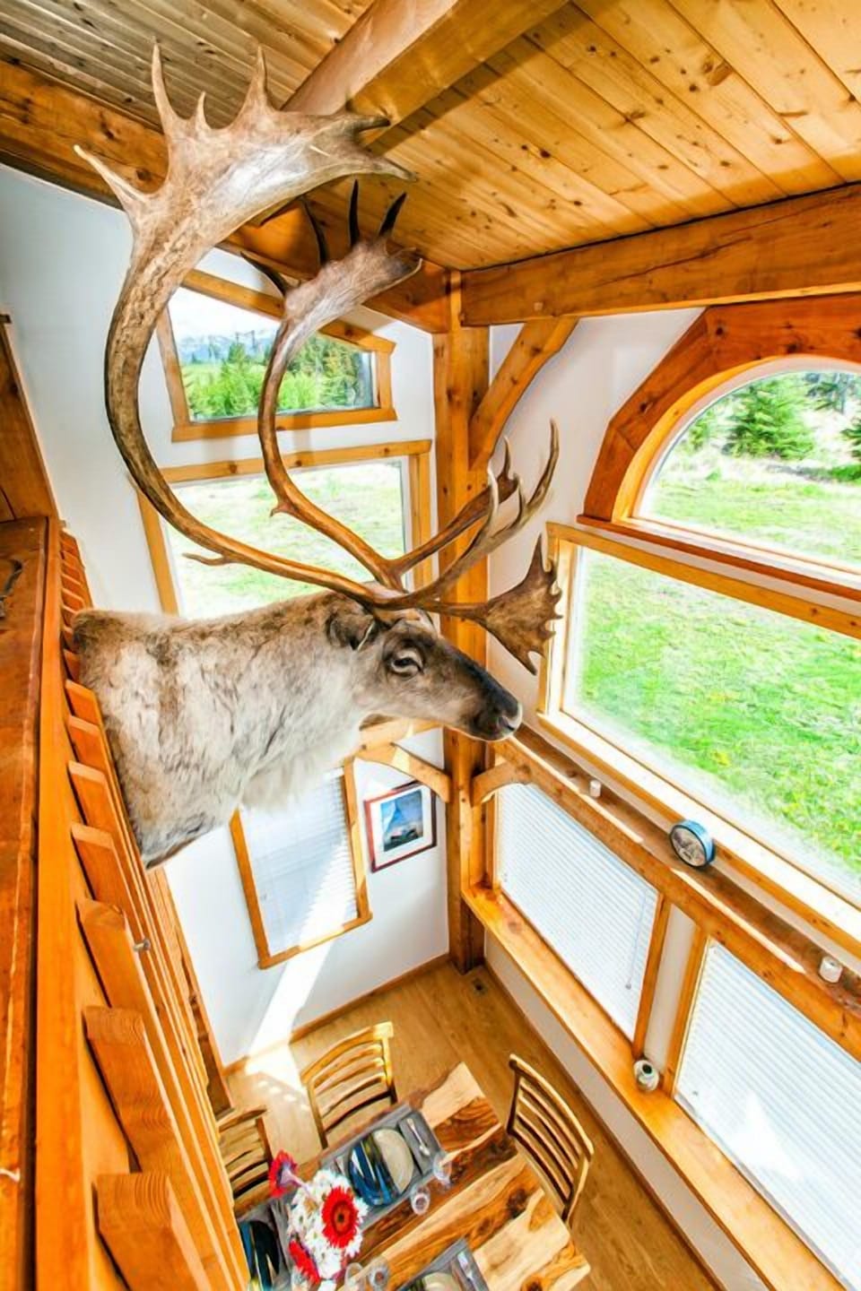 Harry the Caribou overlooking the scenic view and dining area.