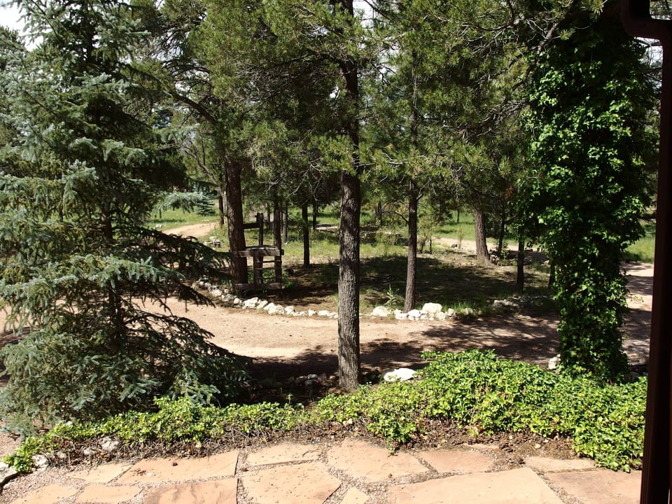 Gorgeous fully fenced front yard from the porch
