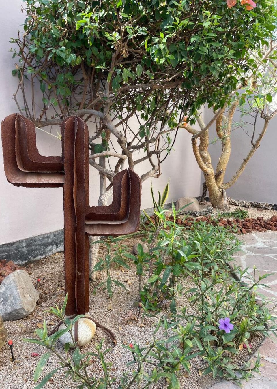 Back patio