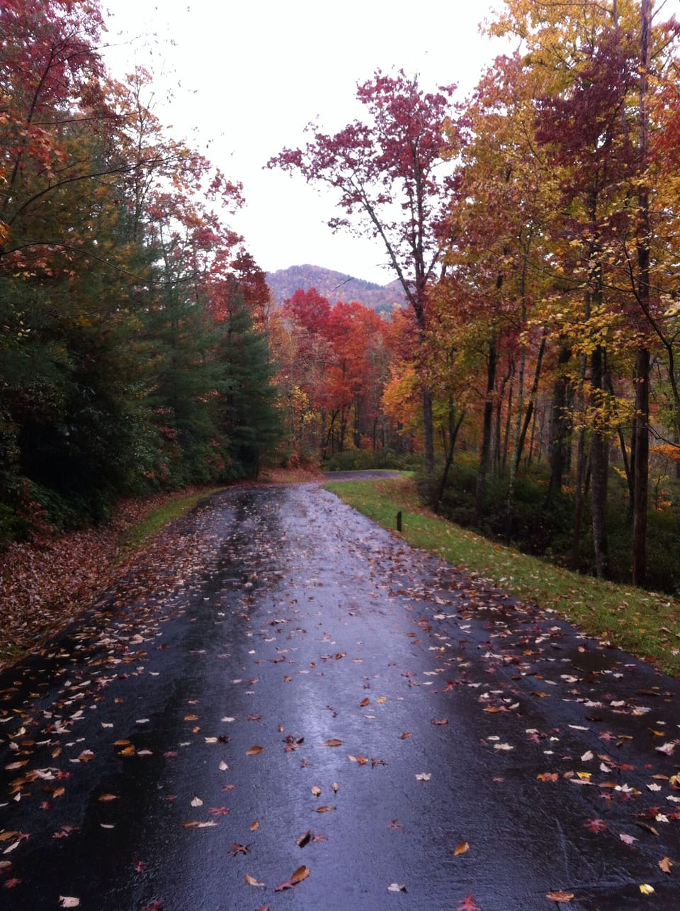 The approach to the Cottage