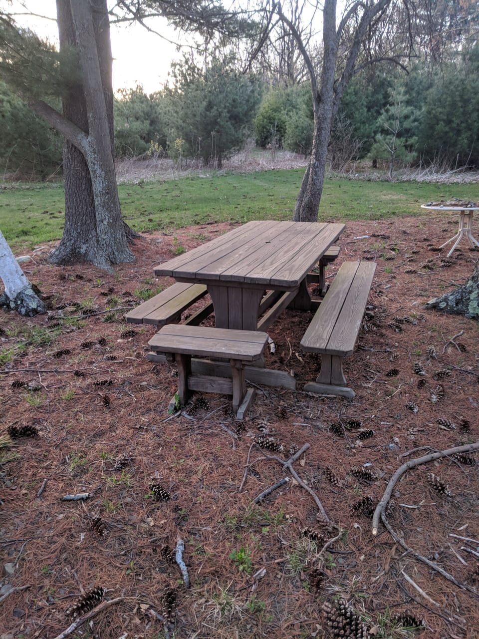 Picnic Table
