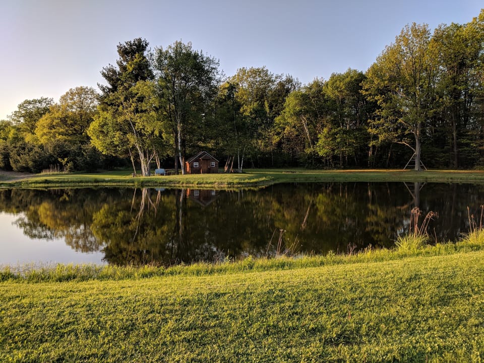 Cabin & pond