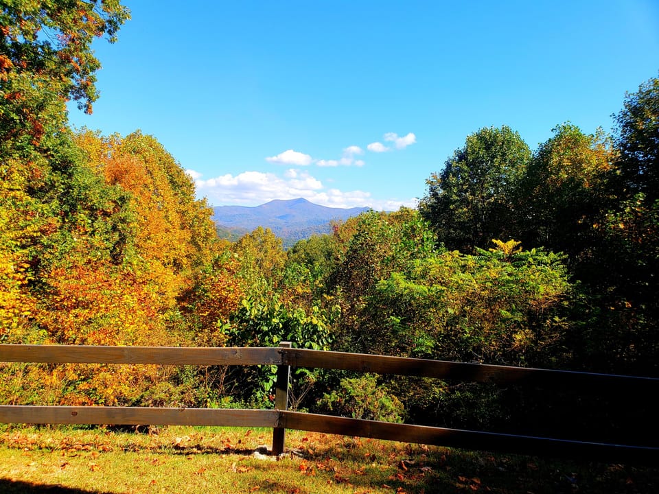 View from Patio