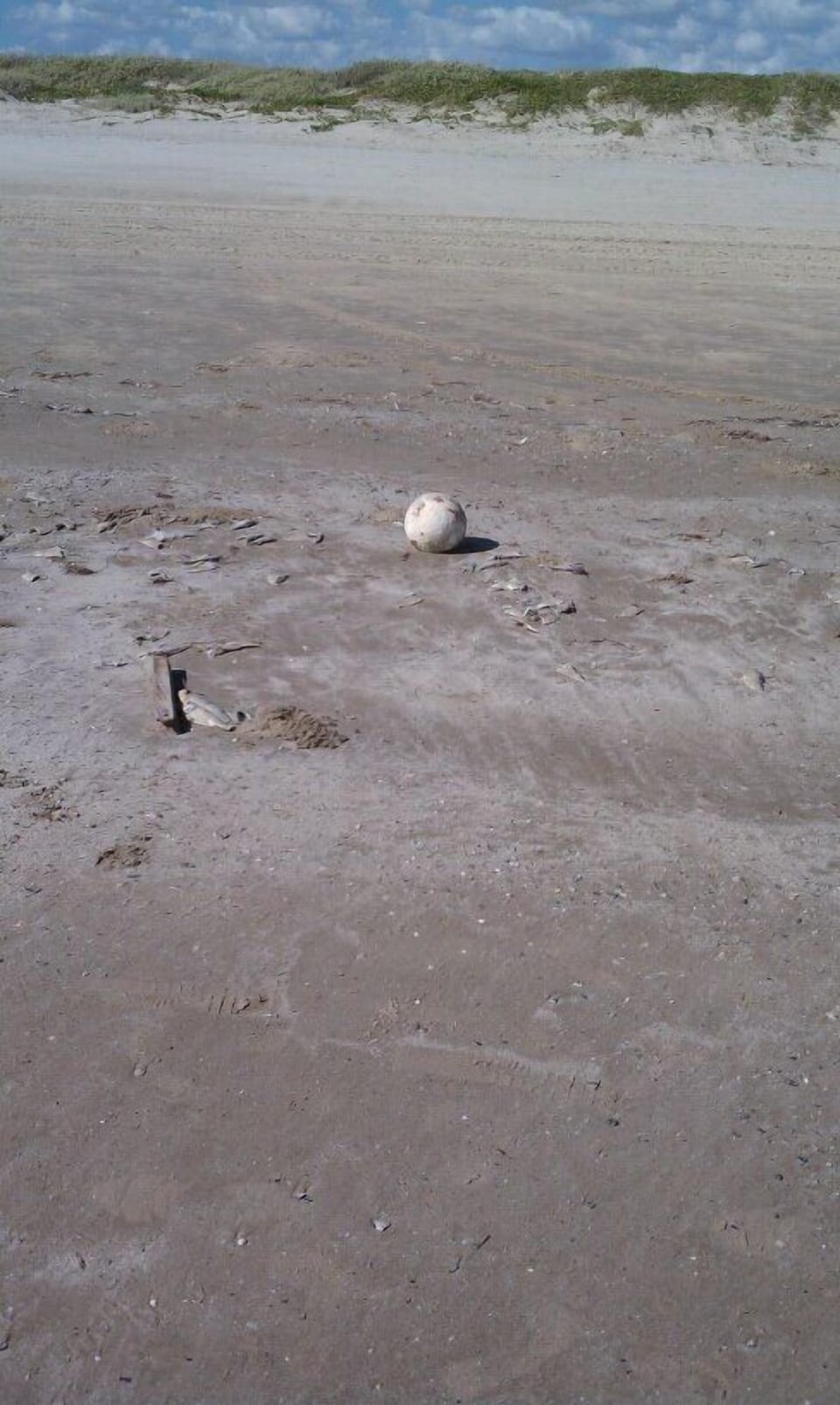 LOL we found Wilson