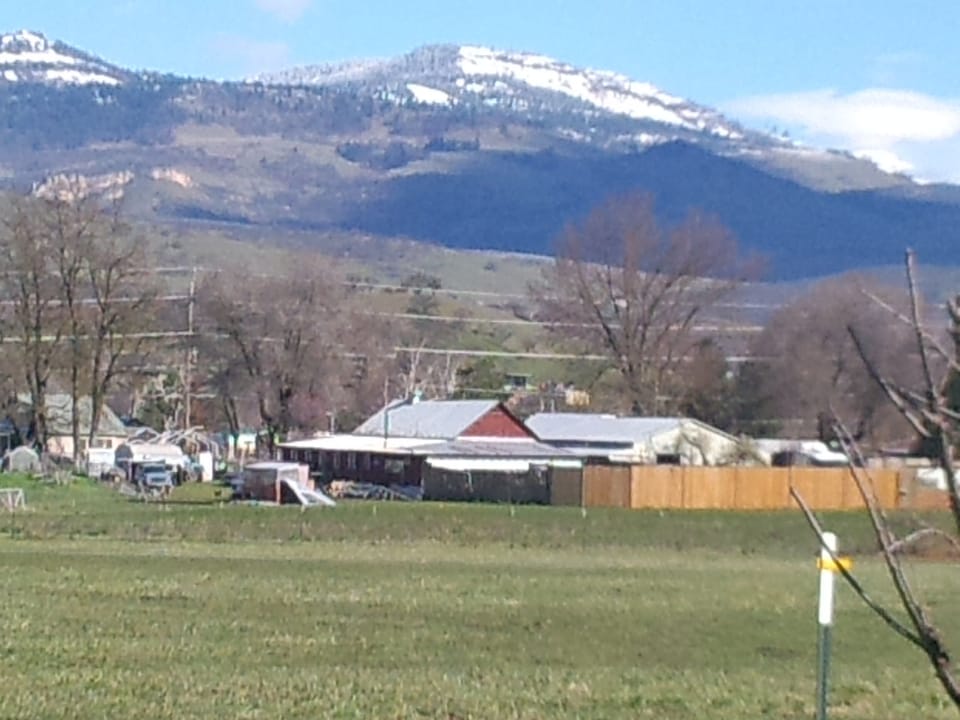 Mountain scene from back yard