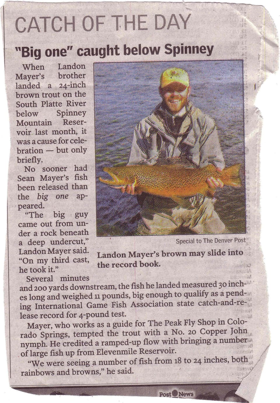 Dream Stream Brown by Landon