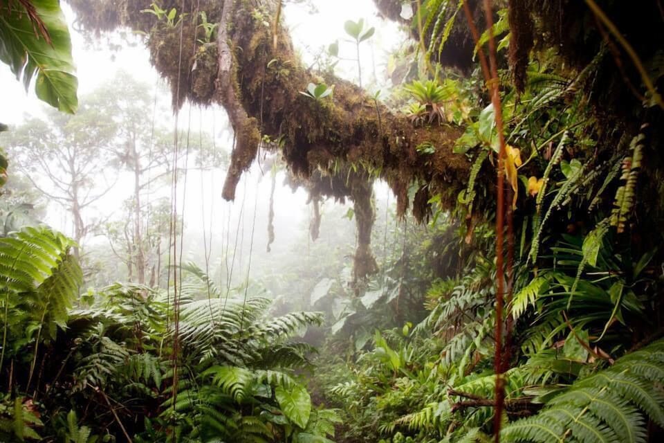 Great Hiking