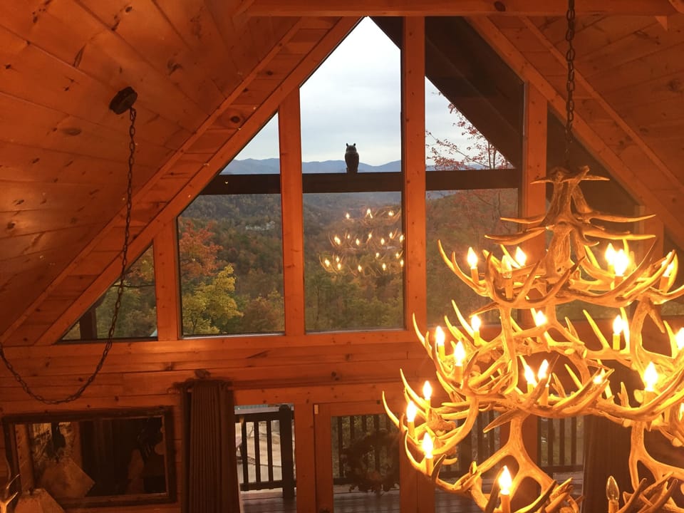 MOUNTAIN VIEWS FROM INSIDE CABIN!!!