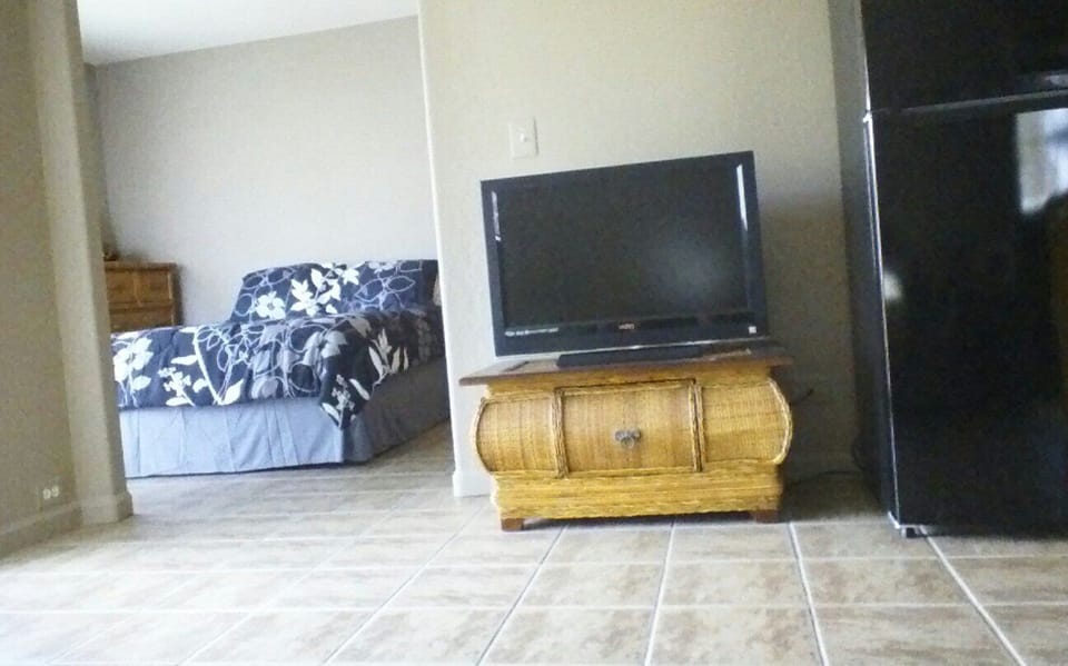 living room looking toward bedroom