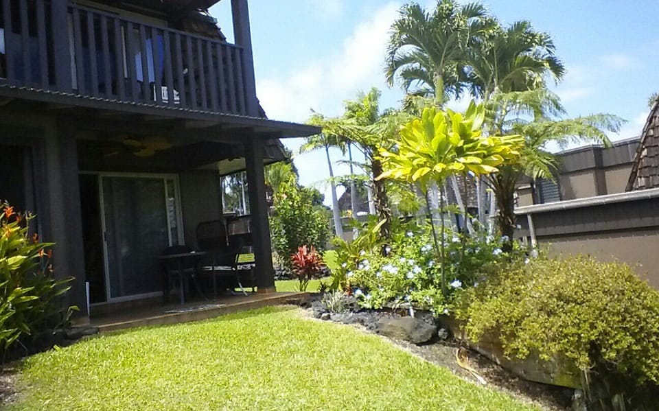 backyard space