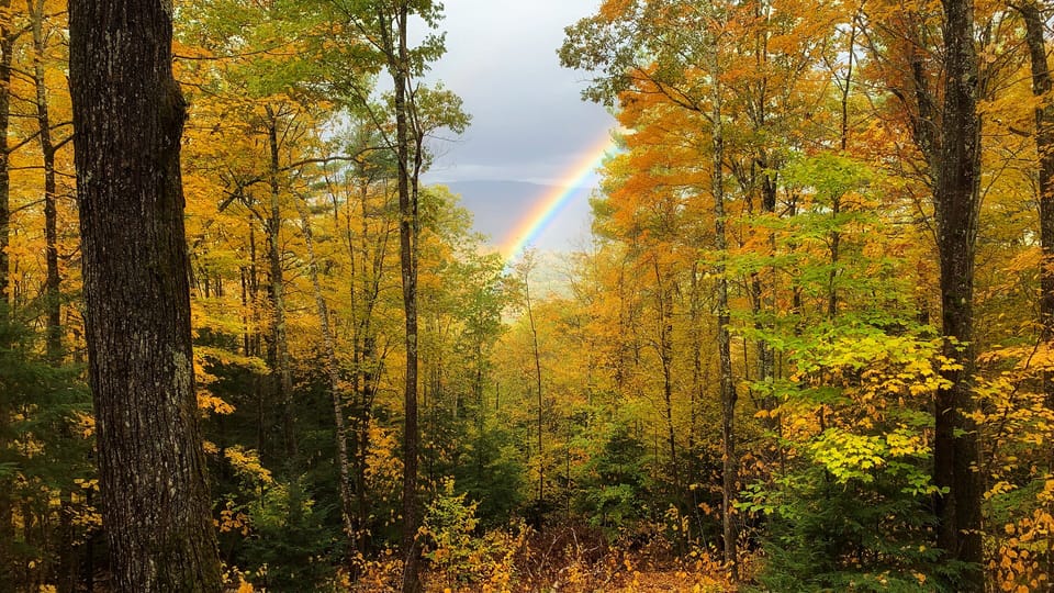 Morning View from the back deck