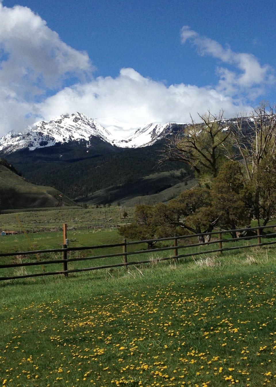 Gorgeous spring day with views of Electric Peak. Yards from YNP border, on river