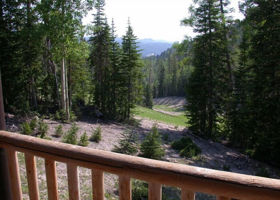 Summertime view off back deck