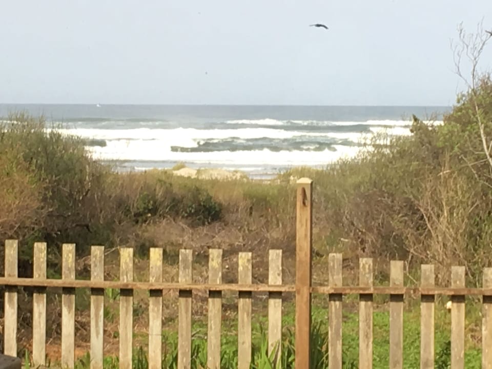 Sand dunes and ocean as seen from the backyard