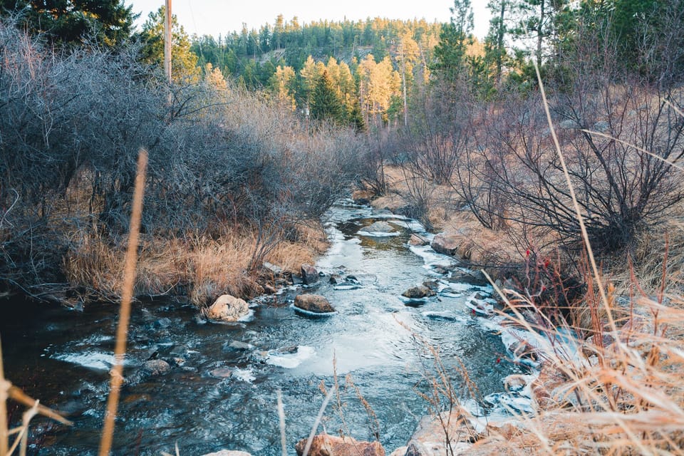 Spring creek out your door 