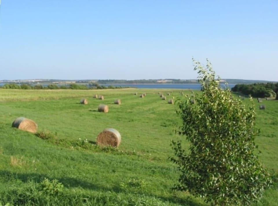 The rolling countryside along the St. Peter's Bay